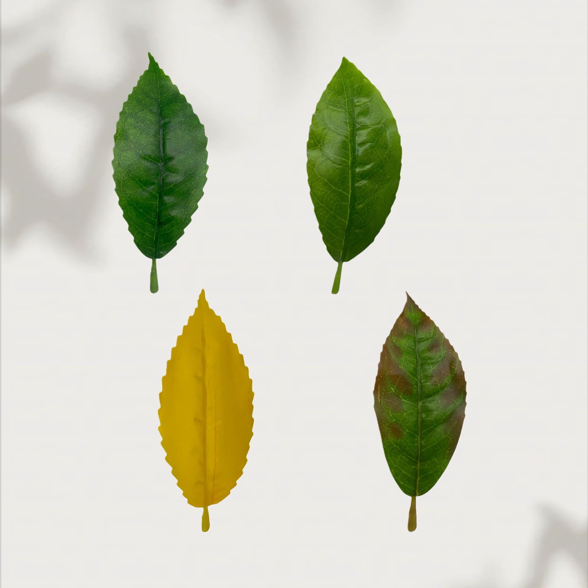 仿真红花油茶叶绿植单片毛尖茶叶绿茶大白茶红茶园林装饰摆设批发详情18