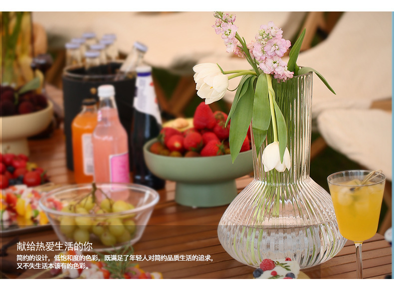Cross-border TEMU best-selling transparent living room dining table vase, ins home soft furnishing exposed material hydroponic glass flower vase pic 11
