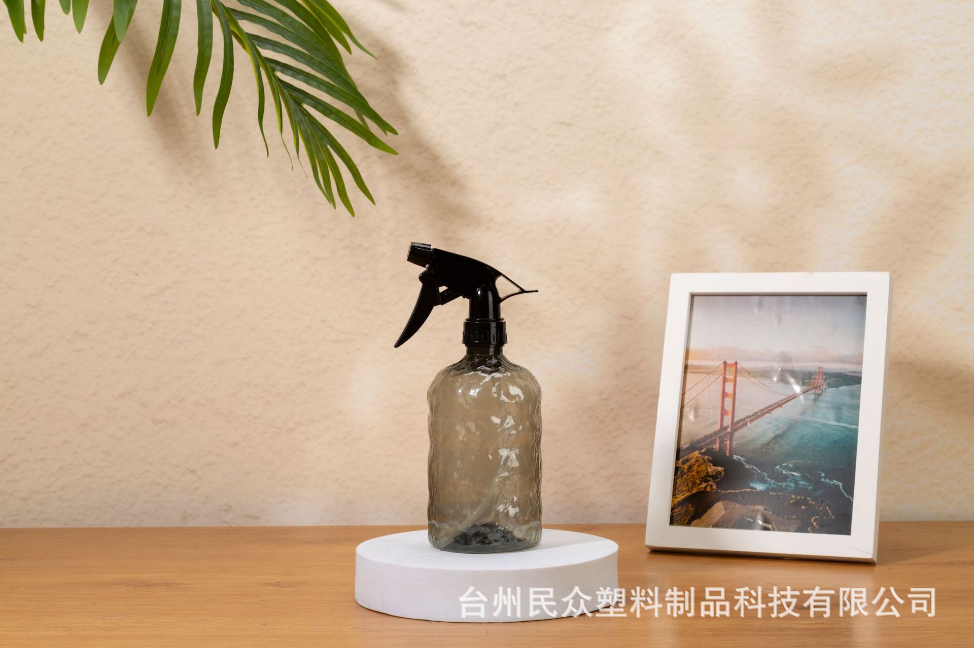 跨境渐变喷壶家用酒精消毒喷雾瓶园艺养花浇水壶美发小容量喷雾器详情10