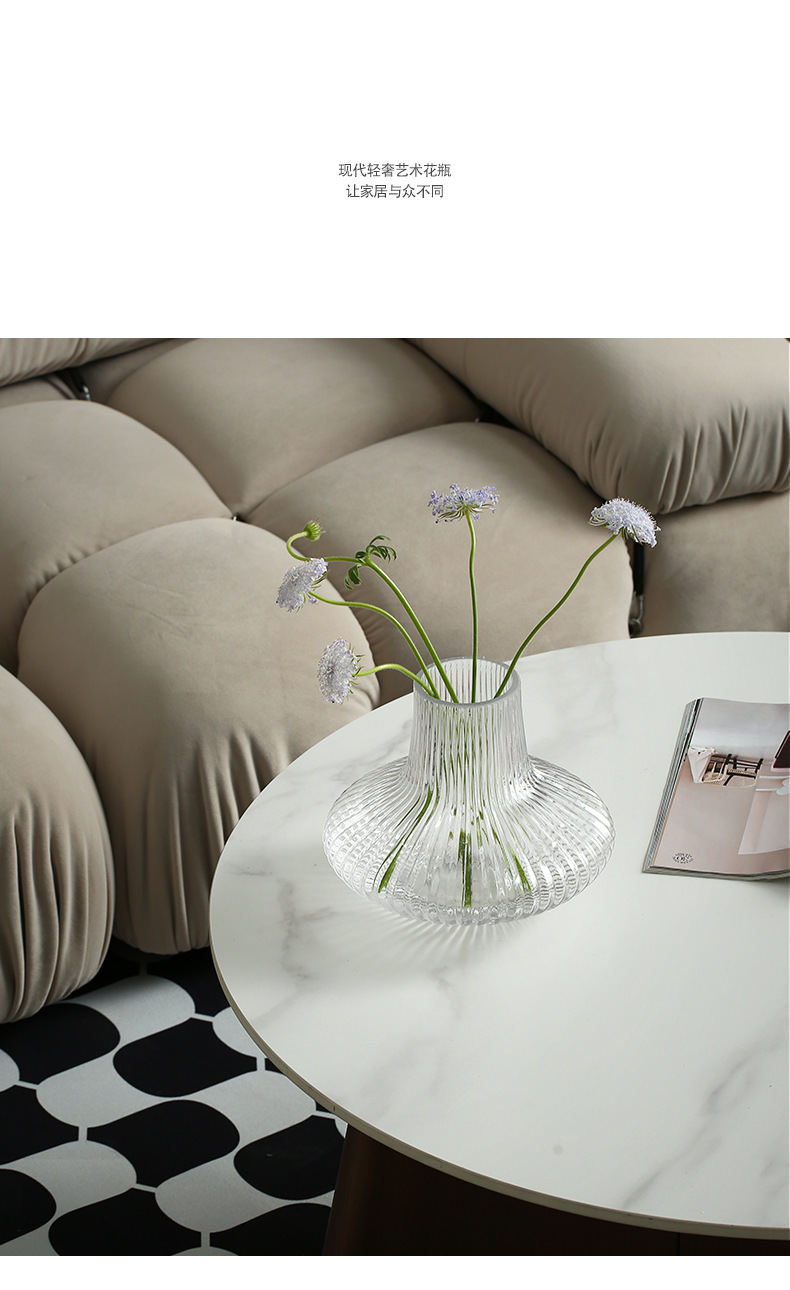 Cross-border TEMU best-selling transparent living room dining table vase, ins home soft furnishing exposed material hydroponic glass flower vase pic 2