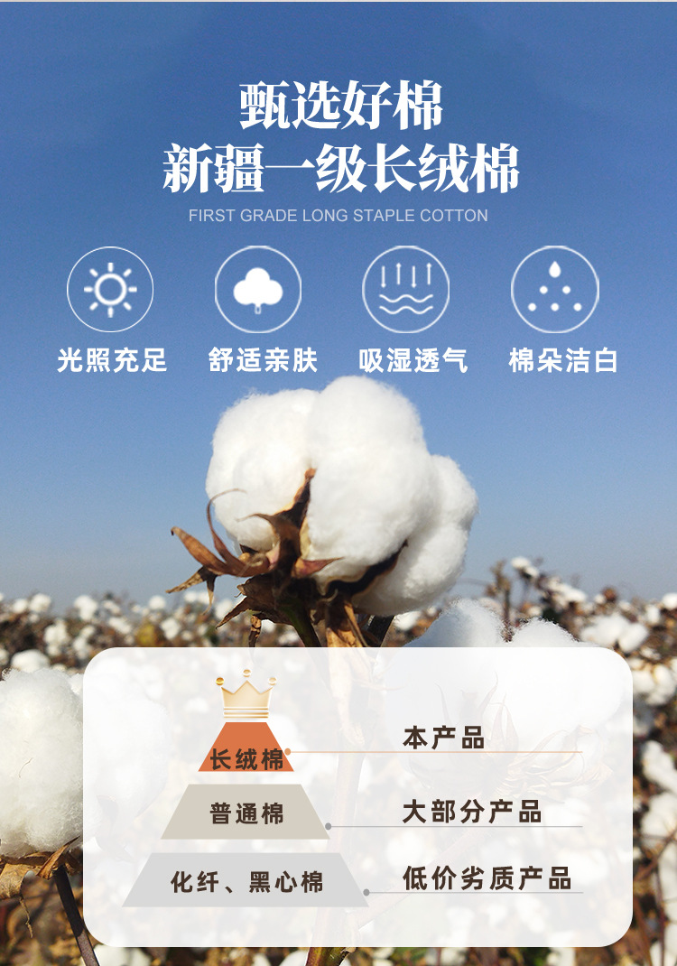 新疆一级棉花被棉絮床垫褥子学生棉被垫被加厚冬被被子棉被芯厂家详情9