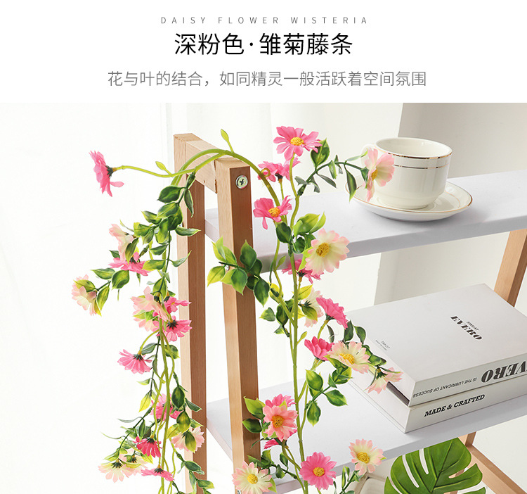 小雏菊---副本_10.jpg