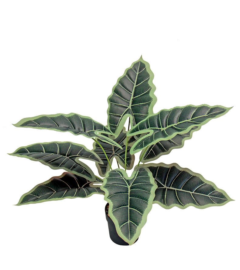 Artificial green plants, such as the lucky taro, are used for restaurant partition decoration, outdoor garden, grassland landscaping, and PVC plastic figures pic 10