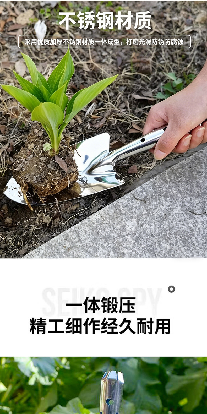 Stainless steel small shovel, gardening and garden tools, shovel, succulent planting, flower and vegetable planting, outdoor soil digging, flower shovel pic 3