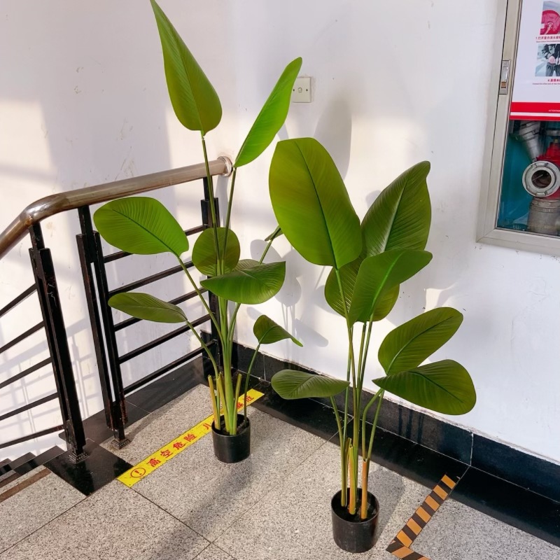 工厂店仿真植物盆栽雪茄旅人蕉美人蕉大叶子高仿植物装饰造景摆件详情13