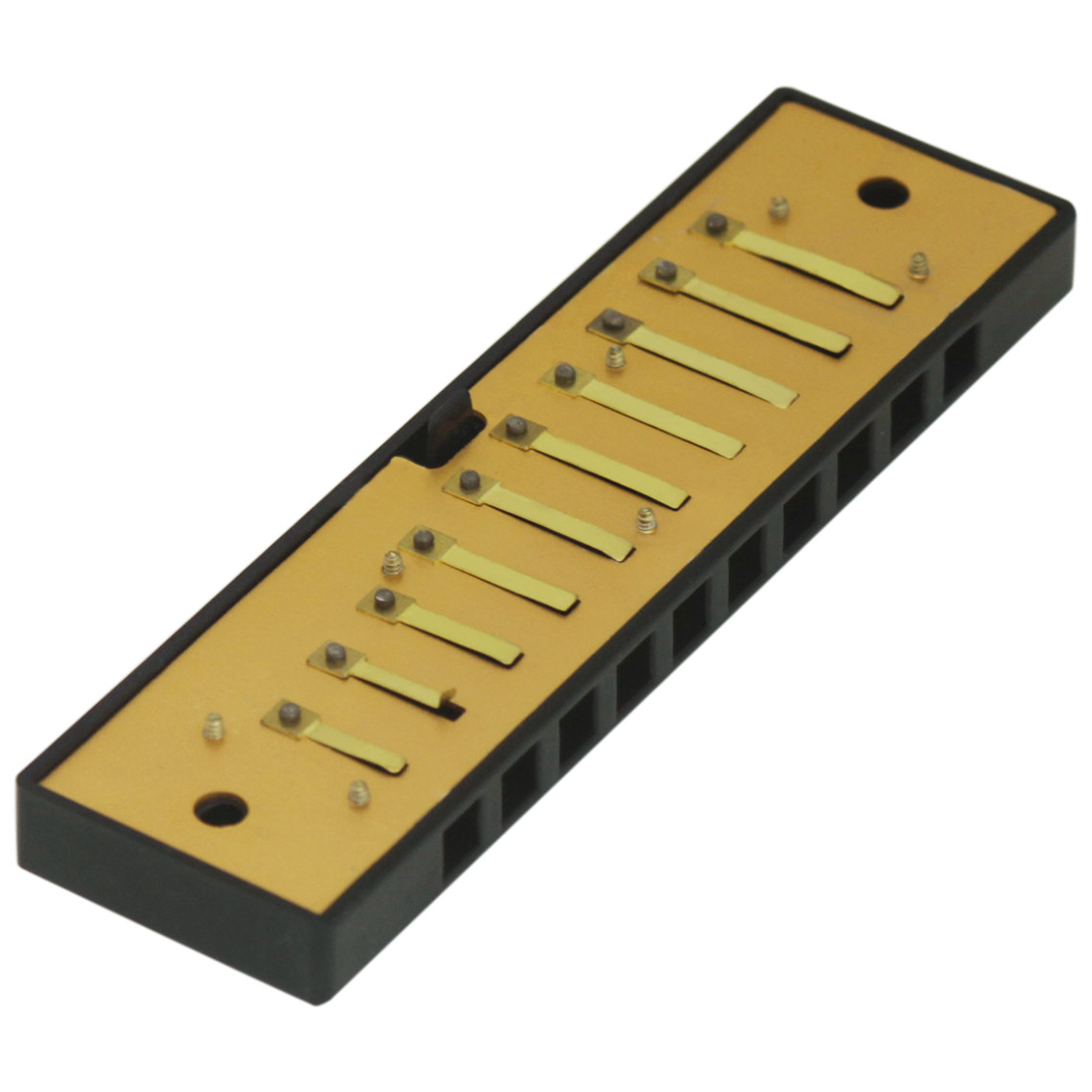 批发IRIN10孔20音C调口琴布鲁斯口吹琴儿童学生十孔口琴雕刻logo详情19