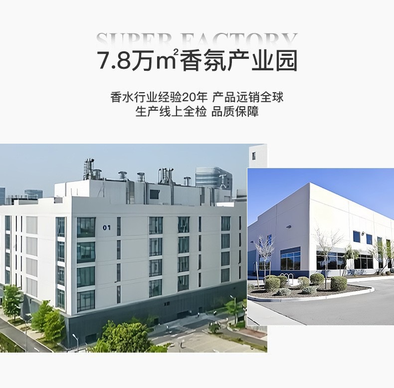 跨境Via Pinky室内级感无火藤条香薰空气清新香氛摆件外贸批发详情10
