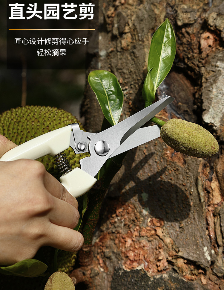 修枝剪套装园艺剪园林弯头剪花园剪刀摘果剪弹簧手动工具省力剪刀详情8