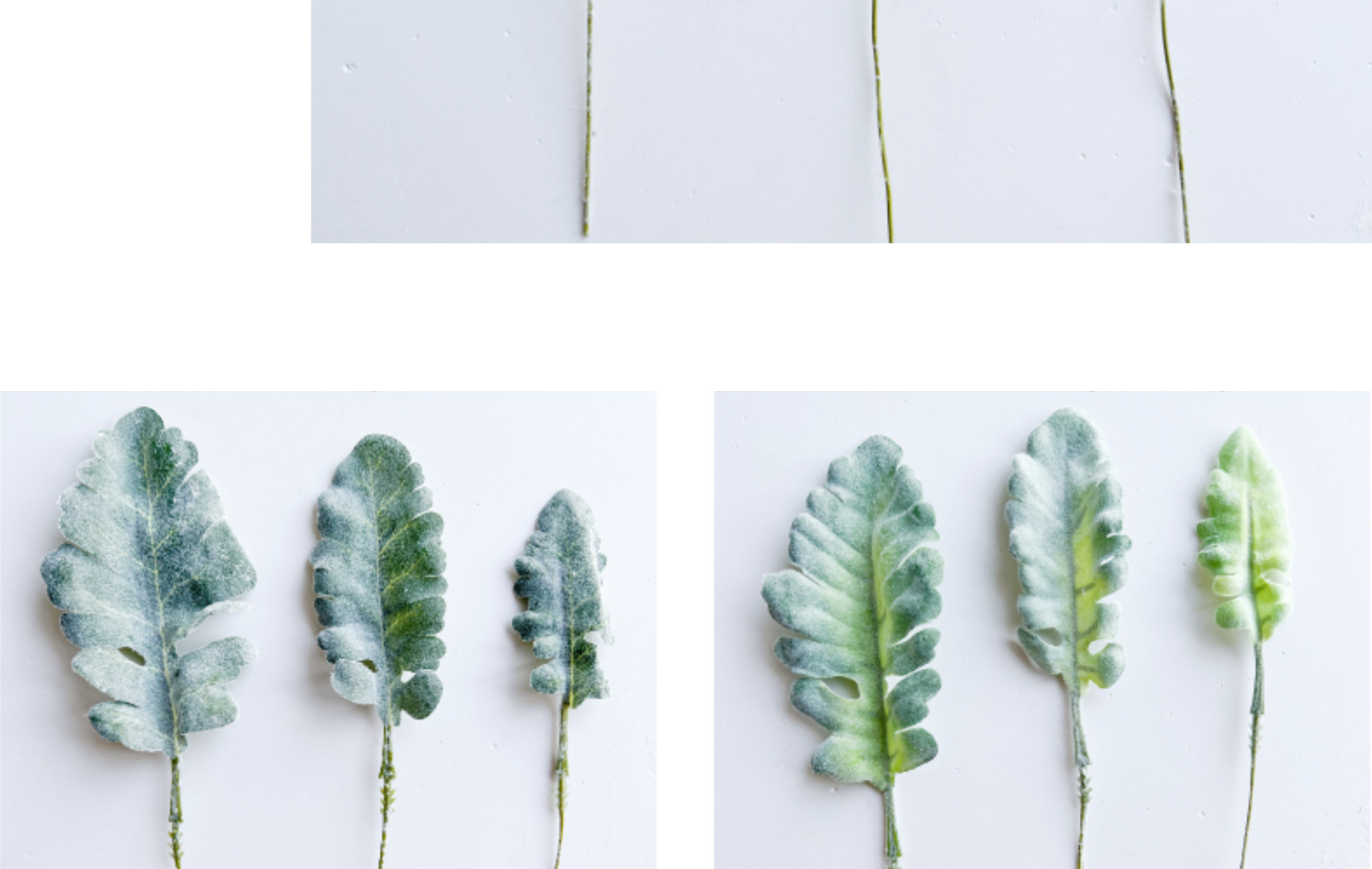 欧式银叶菊兔耳叶叶片配件情人节玫瑰假花餐桌家居绿植软装宠物园艺干花详情17