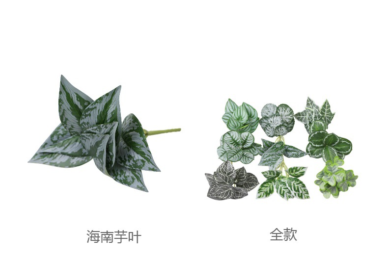 仿真绿植物镜片叶子圆贝叶中壁挂仿真绿植 婚庆造景搭配装饰树叶详情6