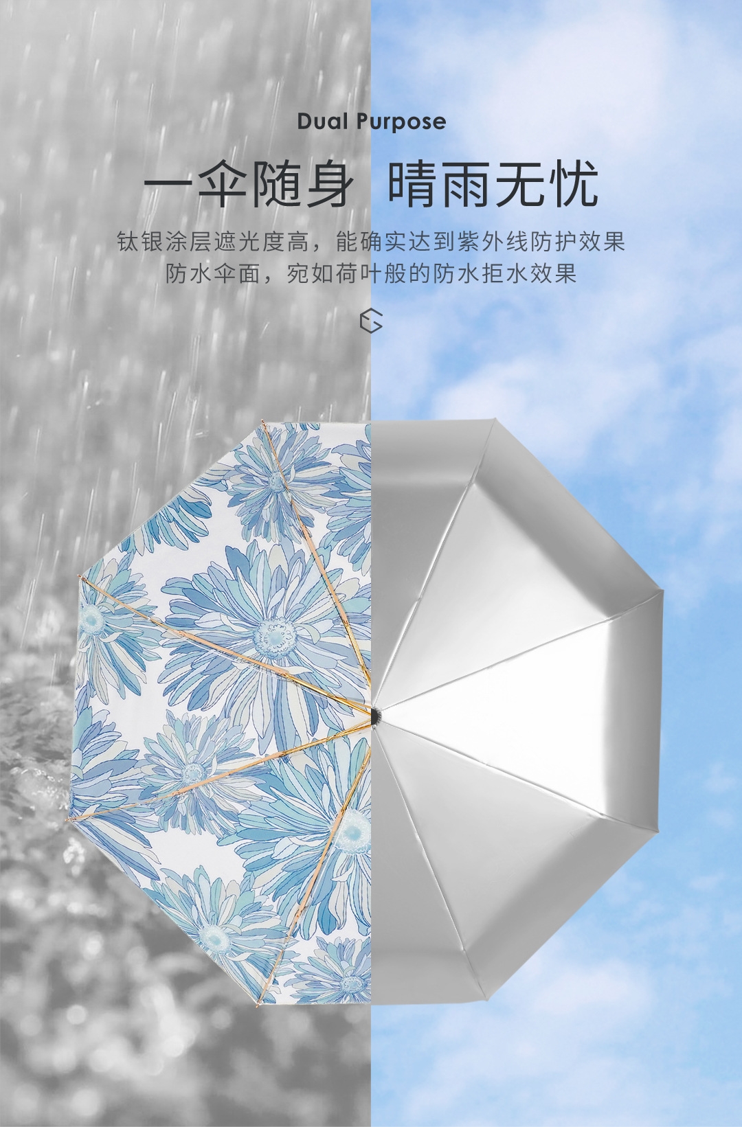 d6.jpg