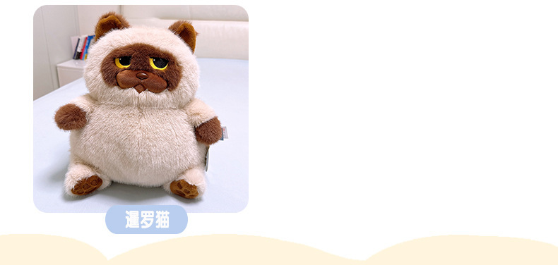 新款品质长毛奶牛猫公仔创意可爱毛绒玩具猫咪娃娃玩偶生日礼物秀绒玩具批发详情3