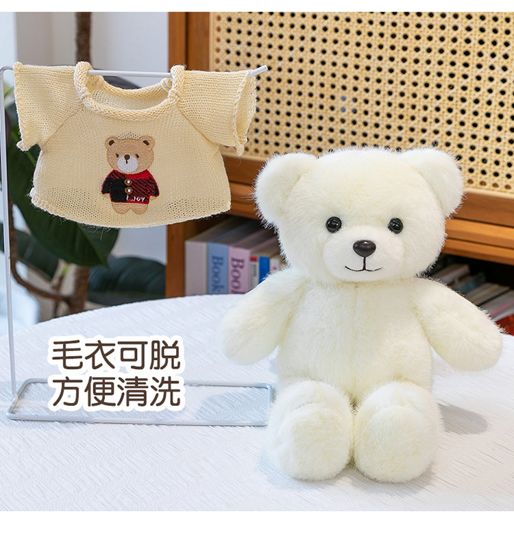 毛衣泰迪熊公仔毛衣百变小熊毛绒玩具情人节送女生布娃娃礼物熊送详情8