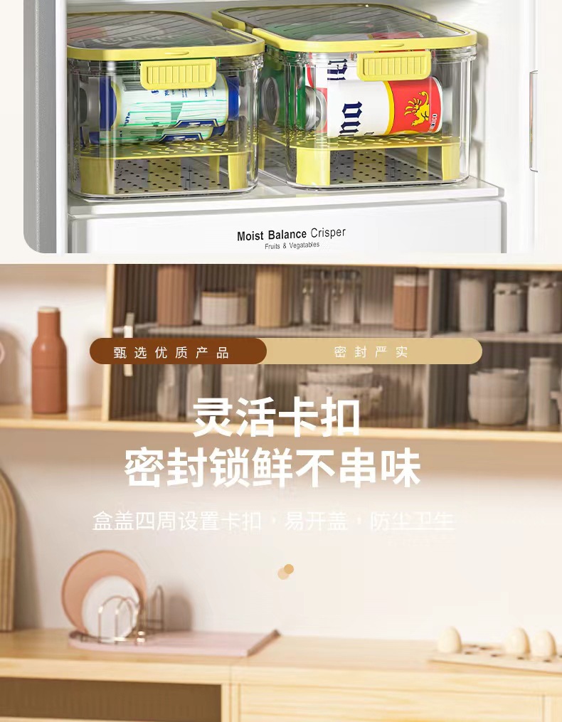 手提保鲜盒户外露营野餐盒外出便携移动食品收纳盒冰箱水果便当盒详情3