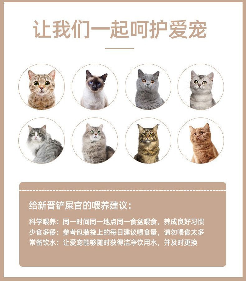 猫粮厂家批发代发通用宠物粮冻干鸡肉绒成猫幼猫全价冻干雪花猫粮详情9