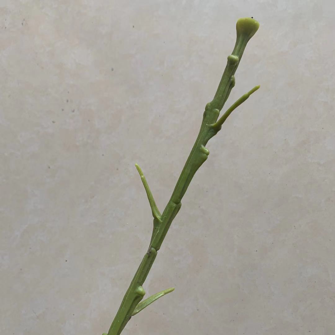 批发丝网花材料花杆牡丹玫瑰百合仿真花枝办公文化园艺装饰用花单支多款任选详情2