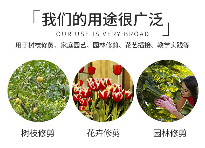 修枝剪园艺剪刀果树剪家用省力修树枝剪子修花工具日本外贸园林剪详情4