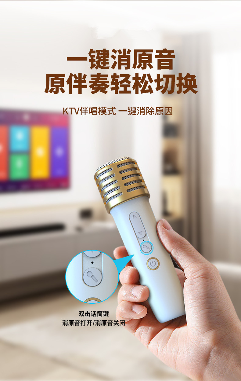 新款跨境蓝牙音箱便携式户外蓝牙音响无线K歌带话筒麦克风家庭ktv详情4