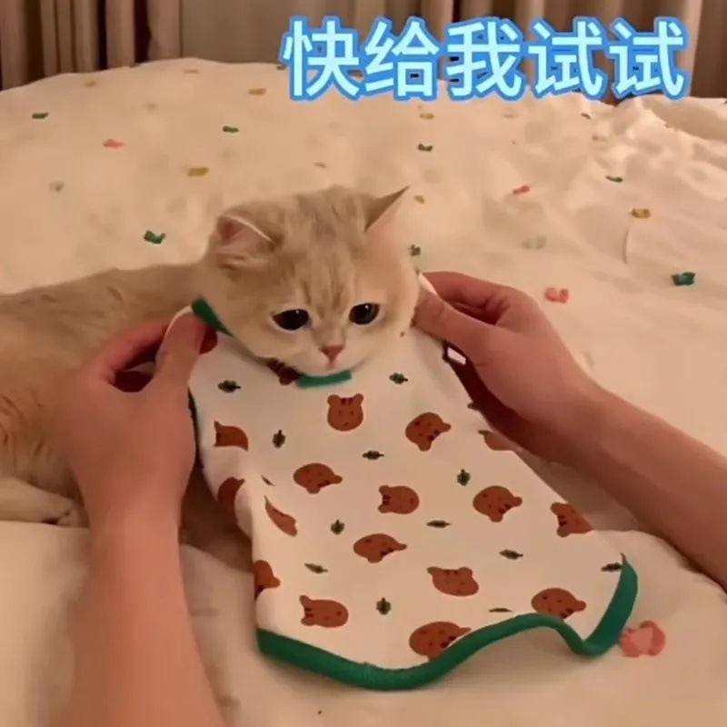 猫咪衣服小型犬防掉毛夏天背心夏季薄款猫布偶猫泰迪狗狗英美短蓝详情7
