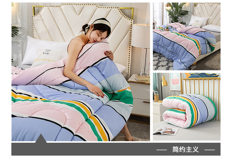 Wholesale of spring and autumn quilts, thickened and warm winter quilts, and single and double student winter quilts for all four seasons pic 25