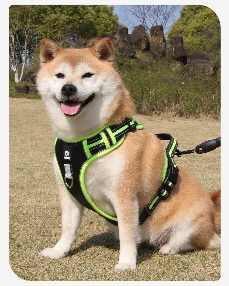 Cross-border dog leashes, anti-break large dog chest straps, reflective medium and large dog leashes, outdoor dog walking leashes pic 22