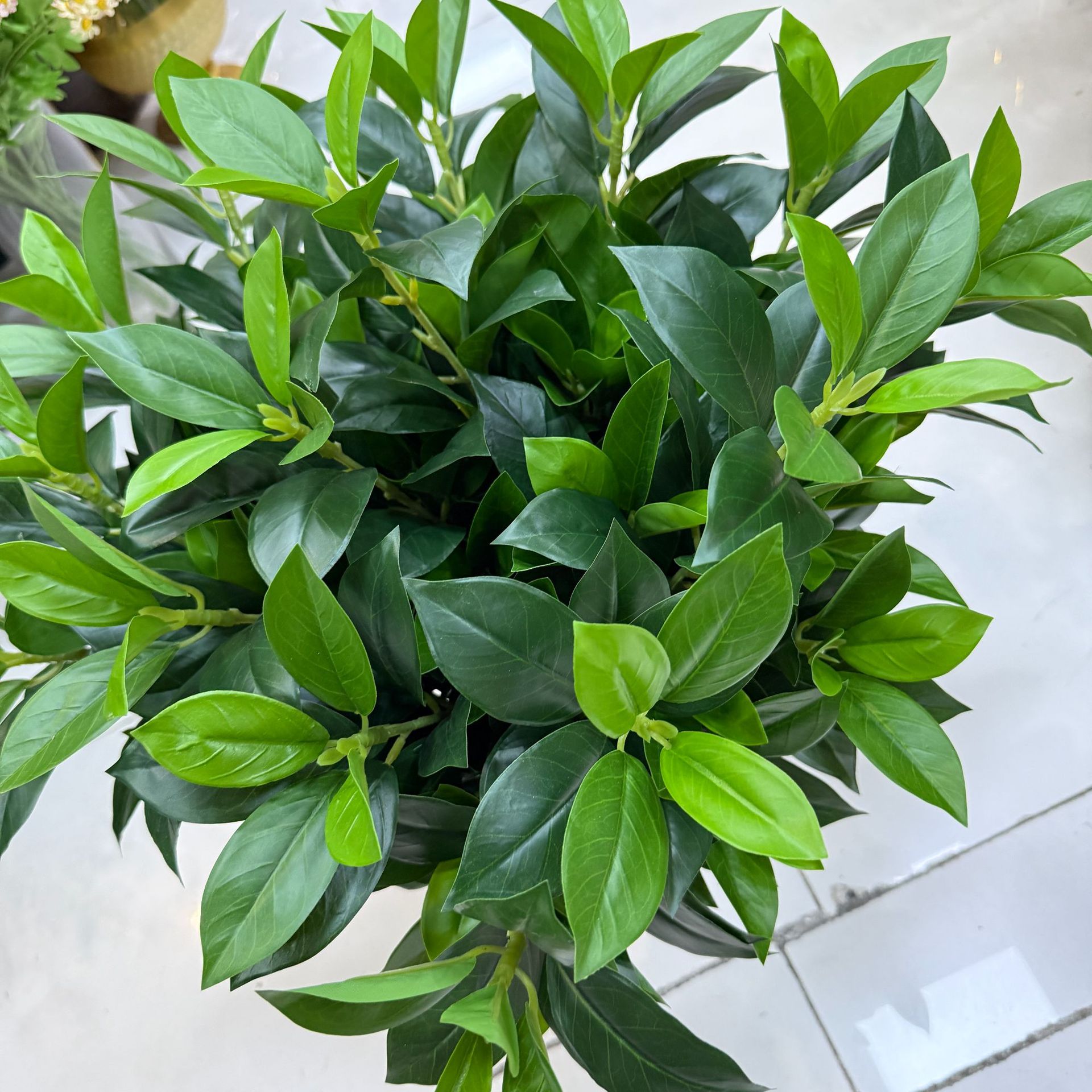 仿真柠檬叶 桔叶 桂花月桂叶 茶树叶 手感叶子植物造景树装饰家居详情4