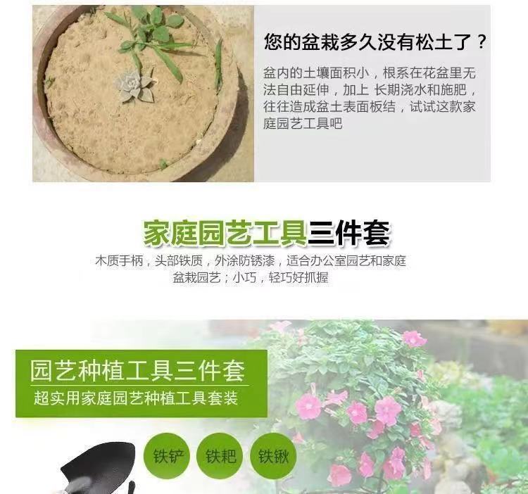 【3件套】园艺大三件套盆栽小铲子花园小铁铲室内花卉盆栽松土种花种菜工具T详情4