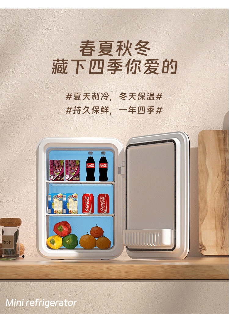 车载冰箱车家两用小型迷你宿舍冷藏箱美妆镜面小冰箱跨境礼品批发详情4