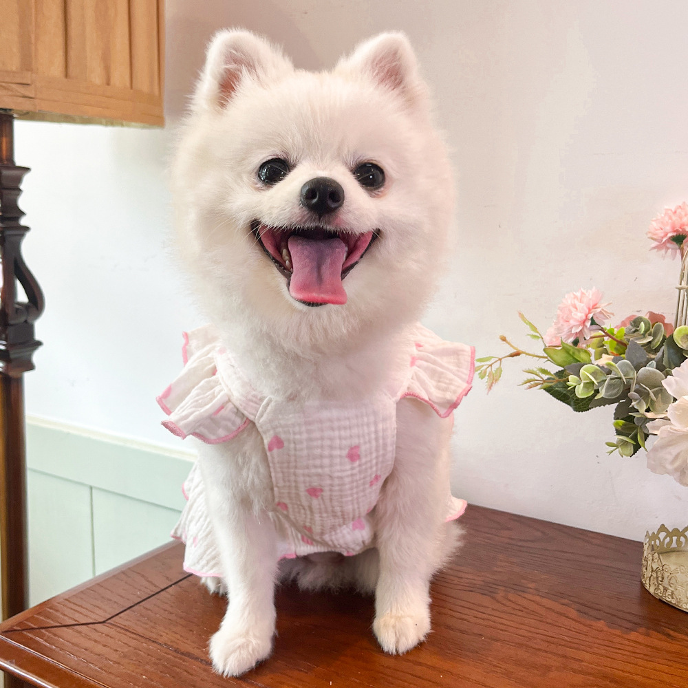 Mascotas vestido ropa ropa primavera verano perro gato teddy by bear pomerania muppet gato amor 100% algodón pic 24