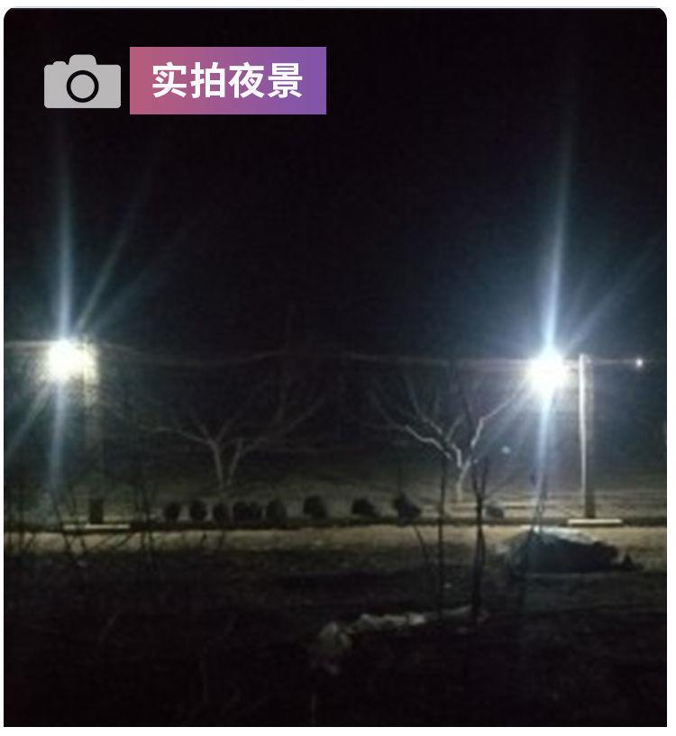 #摆摊灯夜市灯充电灯超长续航大容量led灯泡地摊户外无线照明应急详情18