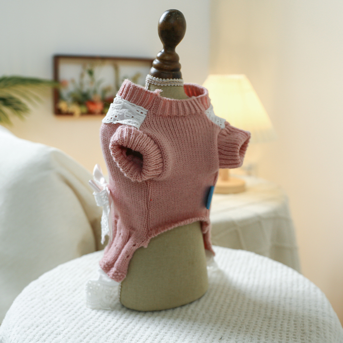 T Elegant princess cat and dog clothes, pet dog and cat warm and comfortable home clothes for autumn and winter, dog clothes, pet skirts pic 18