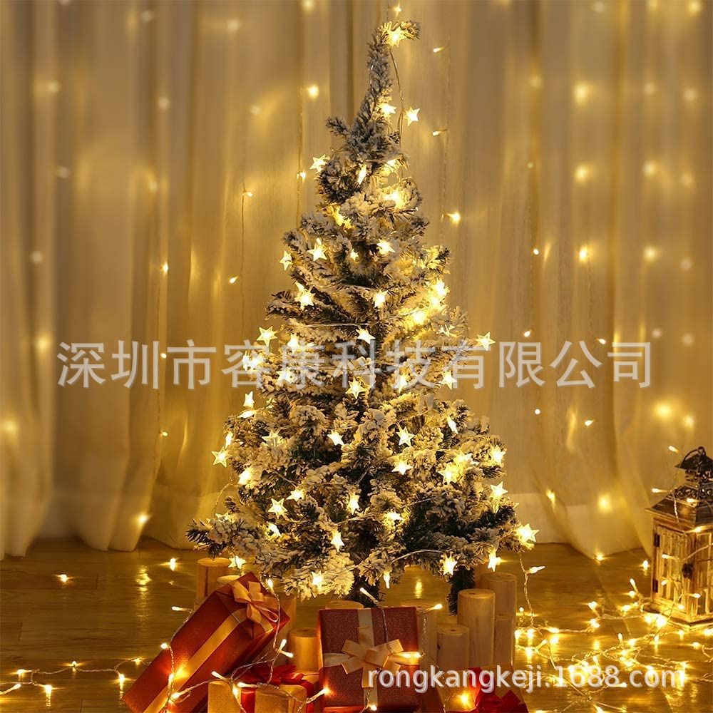 仙女串灯，可扩展用于室内、室外、婚礼派对、圣诞树、新年、花园详情8