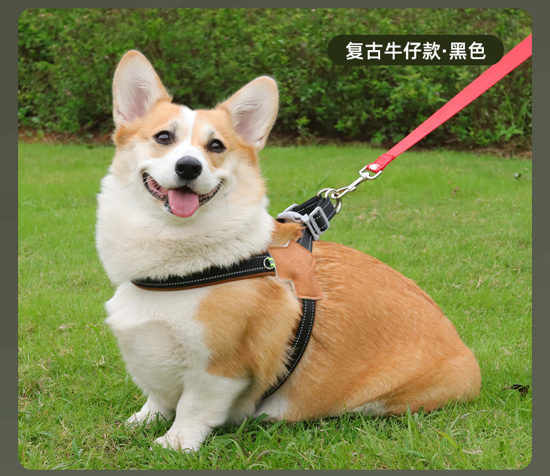 Dog leash saddle-style pet chest and back strap, breathable and reflective dog chest and back pet leash, dog leash wholesale pic 24
