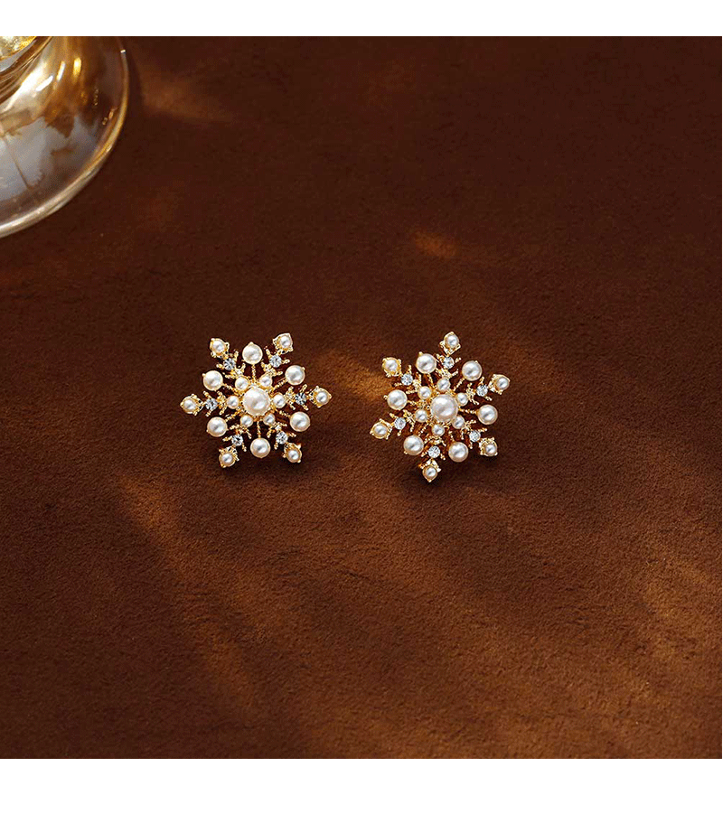 Hyacinth925 Silver Needle Exquisite Zircon Snowflake Stud Earrings Autumn/Winter 2026 New bestseller, high-end and unique design earrings for women pic 10