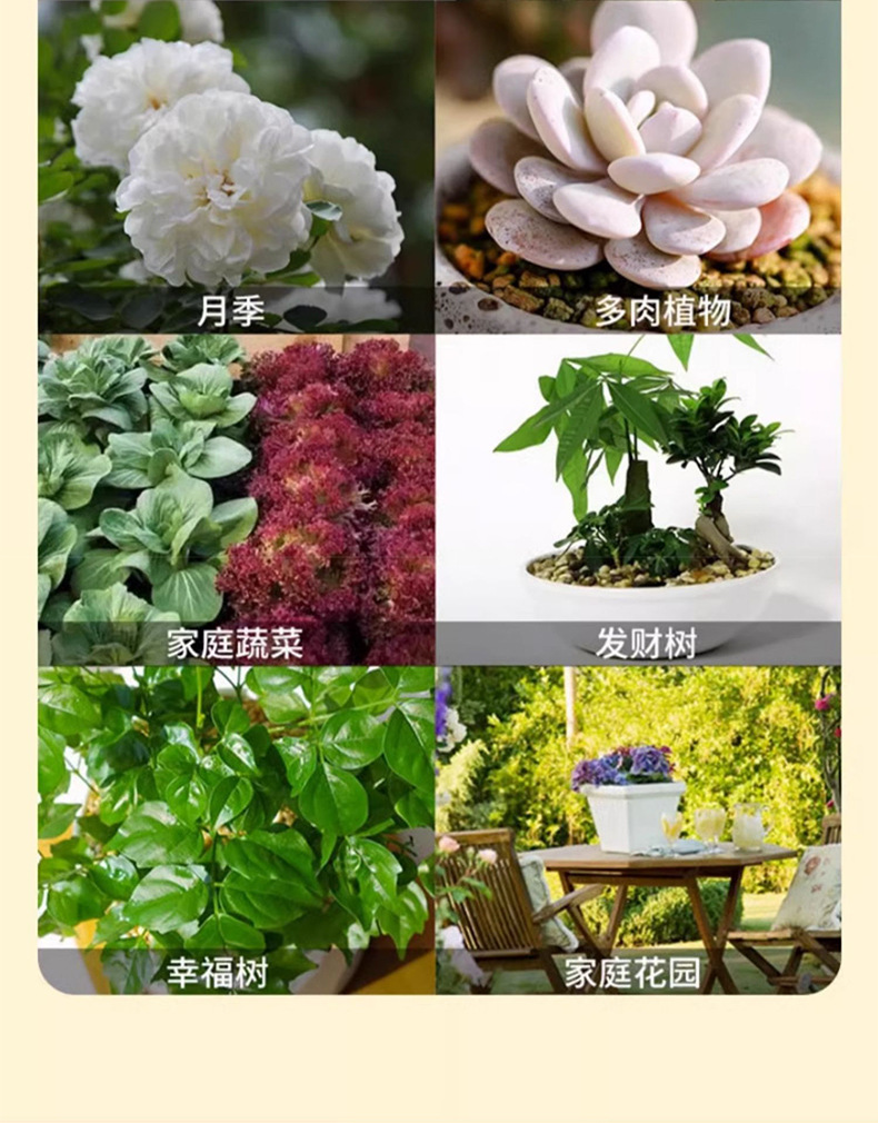 呋虫胺杀虫乳剂花卉植物通用绿植多肉月季蚜虫蚧壳虫除虫剂杀虫剂详情5