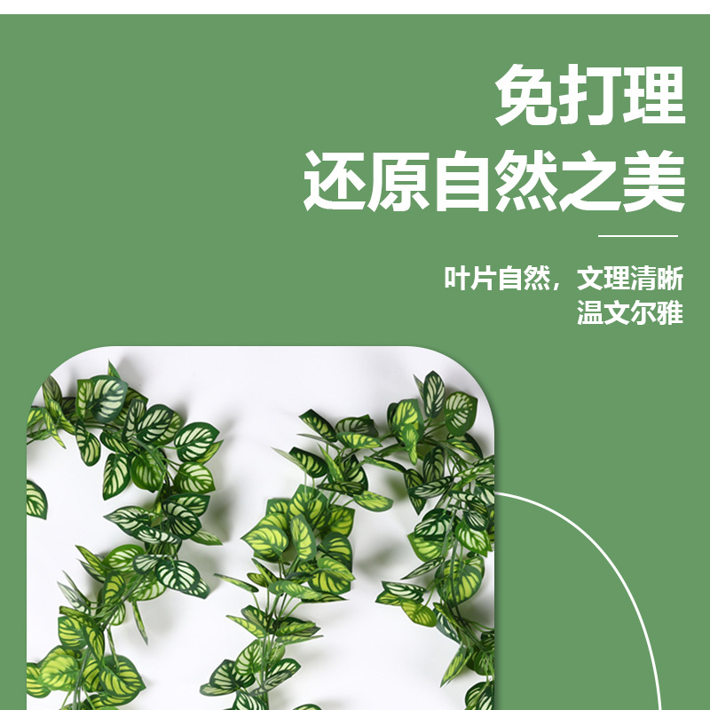 仿真藤条葡萄叶植物叶藤蔓假植物藤绿植人造壁批发壁挂葡萄藤挂墙详情5