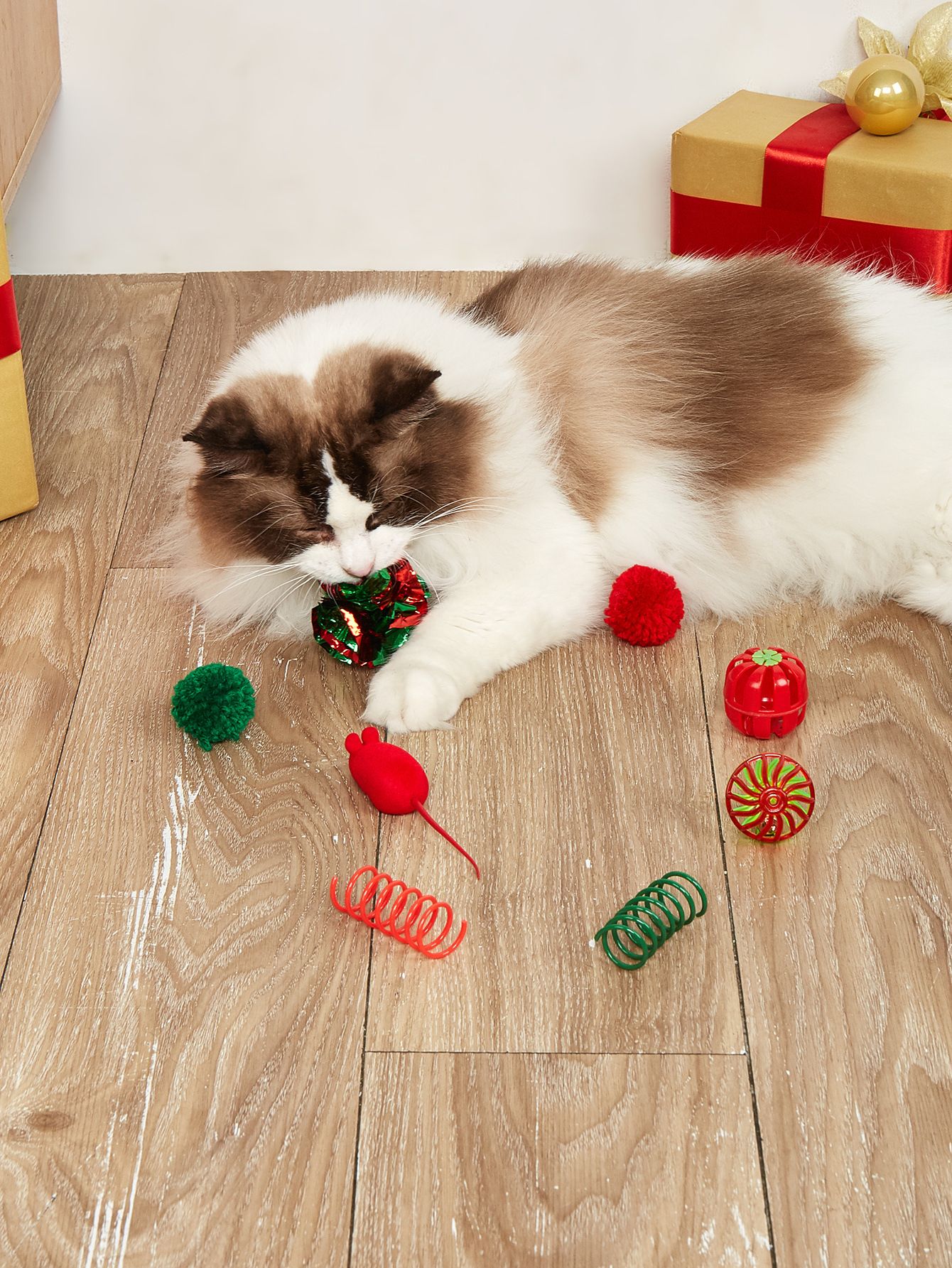 新品圣诞宠物玩具高性价比猫玩具套装跨境热销猫咪自嗨解闷玩具详情23