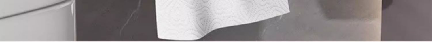 卫生间厕纸盒厕所纸巾盒浴室免打孔防水壁挂抽纸卷纸卫生纸置物架详情2