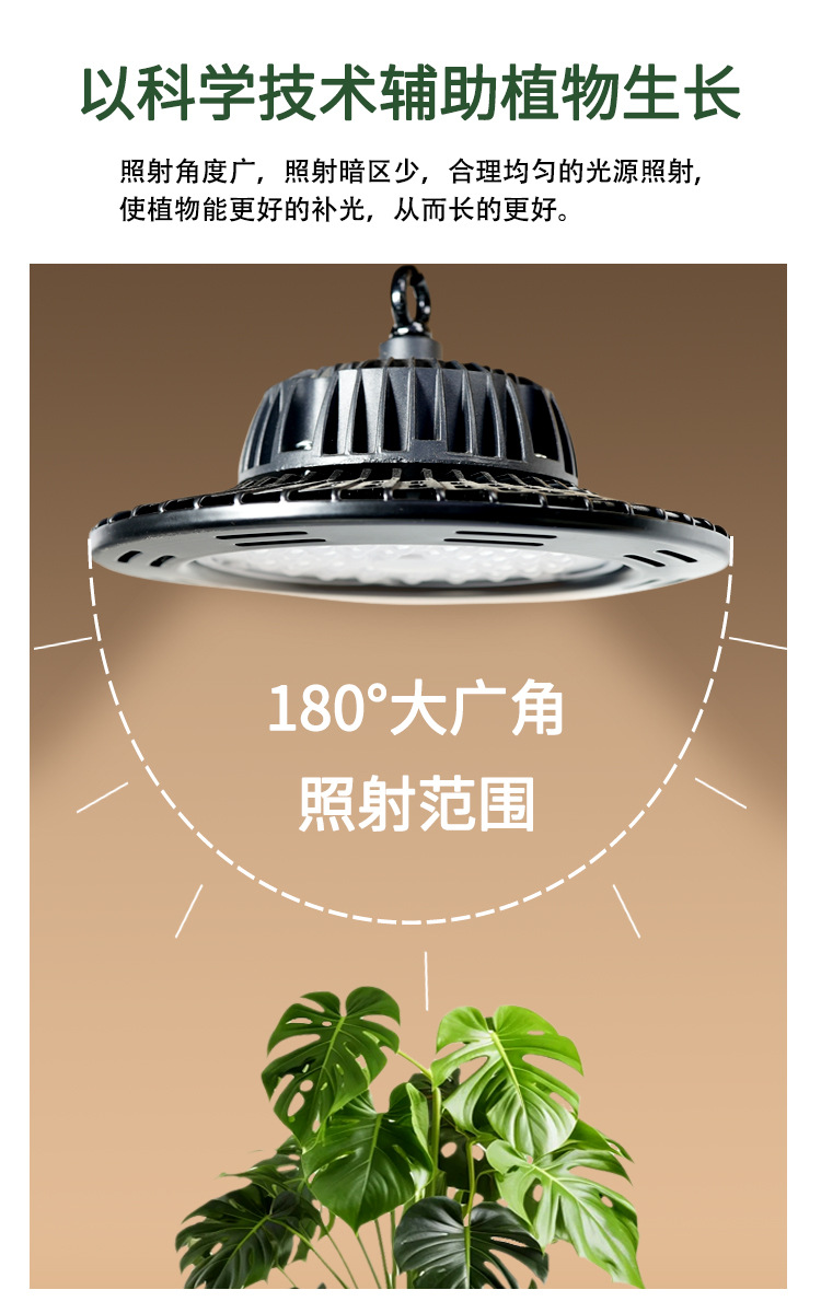 Succulent rose plant supplementary lighting lamp, sunlight-like full-spectrum green plant indoor orchid growth lamp, algae explosion lamp pic 10