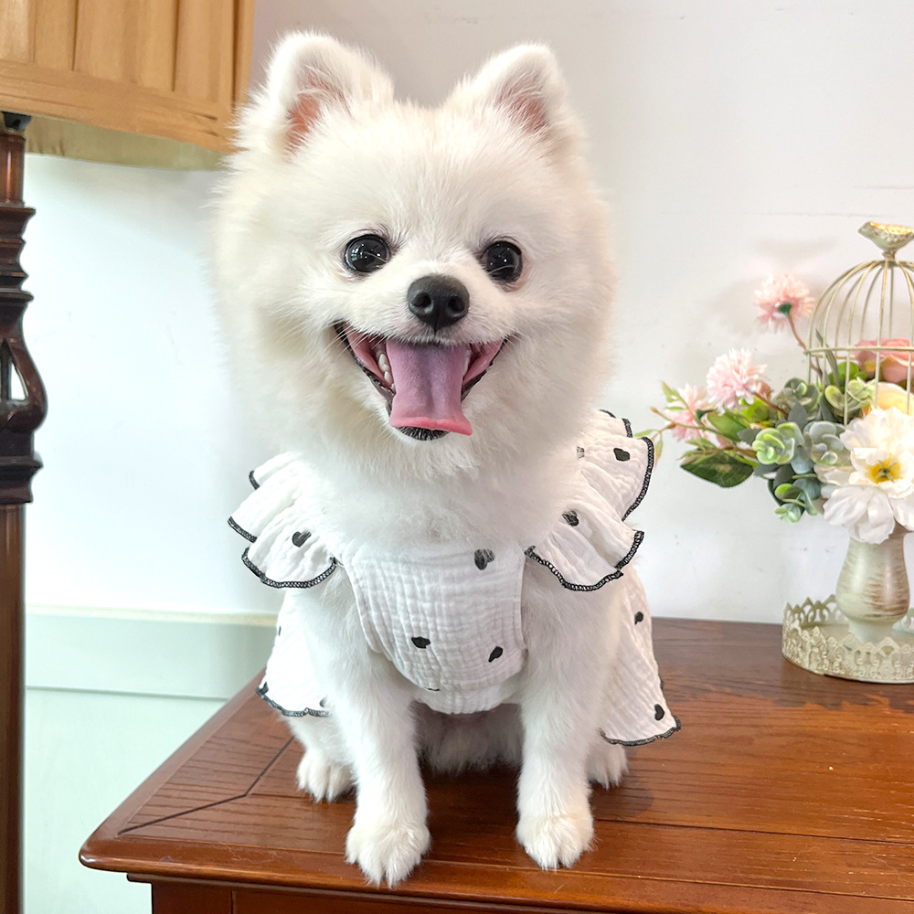 Mascotas vestido ropa ropa primavera verano perro gato teddy by bear pomerania muppet gato amor 100% algodón pic 30