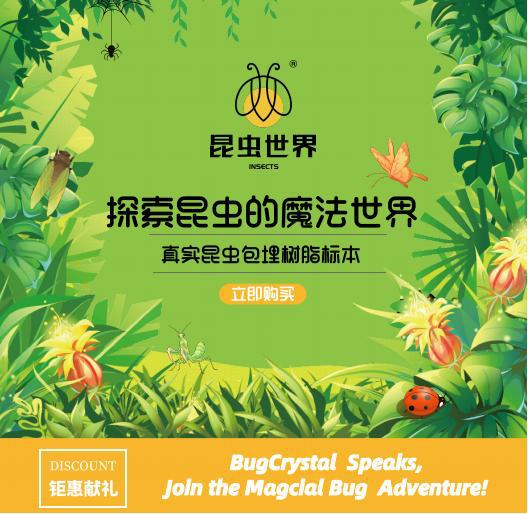 Zhenfang Craft Factory offers self-operated real insect specimens, biological science popularization teaching, ciphertext waybills, and cross-border one-piece consignment pic 1