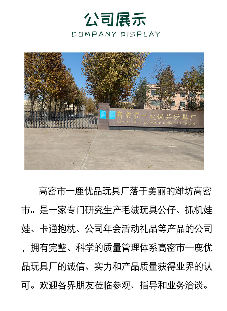 Capibara pendants, plush dolls, toy bags, wholesale toys, cute dolls, capybara keychains pic 16