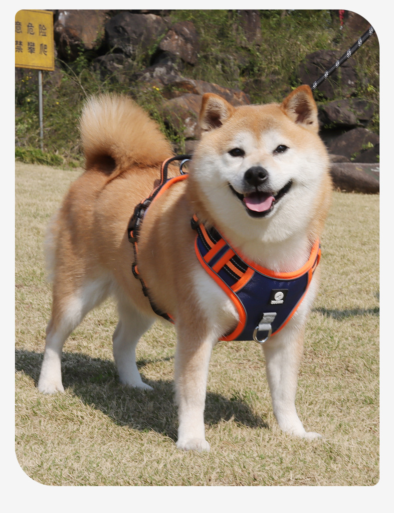 Cross-border dog leashes, anti-break large dog chest straps, reflective medium and large dog leashes, outdoor dog walking leashes pic 24