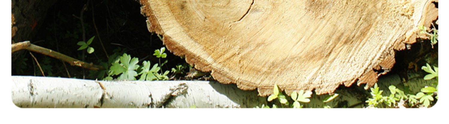 北欧沙发凳客厅家用矮凳脚踏凳网红圆凳坐墩花瓣凳子进门口换鞋凳详情16