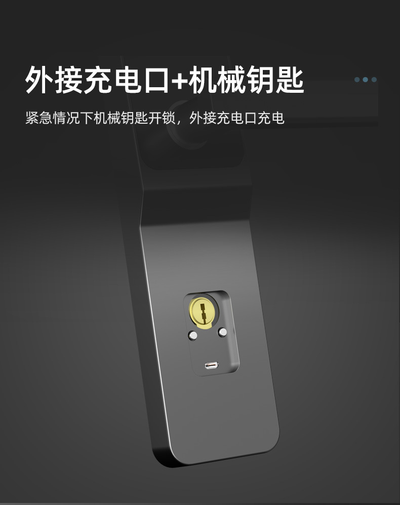 智能门锁批发防盗门电子锁出租房民宿IC通通锁APP远程公寓密码锁详情14