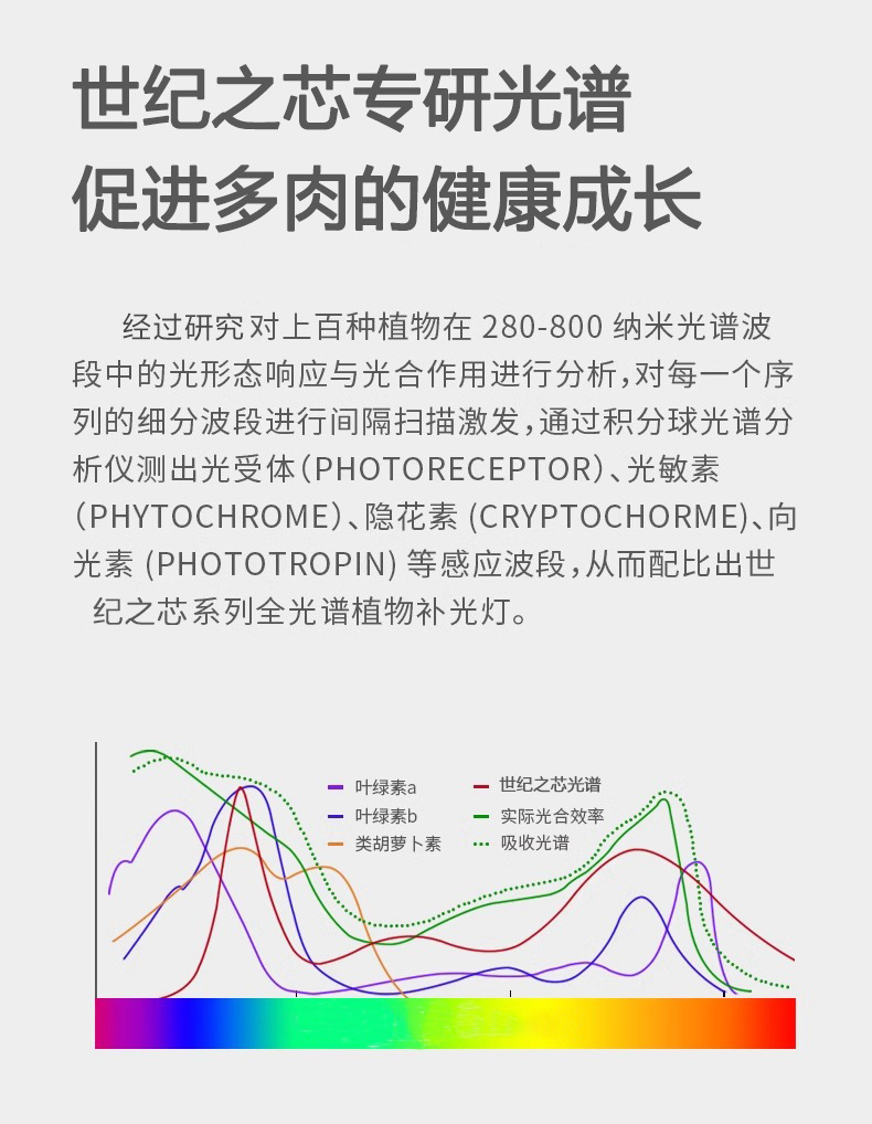 The clamps succulent supplementary light, indoor green plant and flower imitation solar full-spectrum plant growth light, is specially designed for coloring pic 7