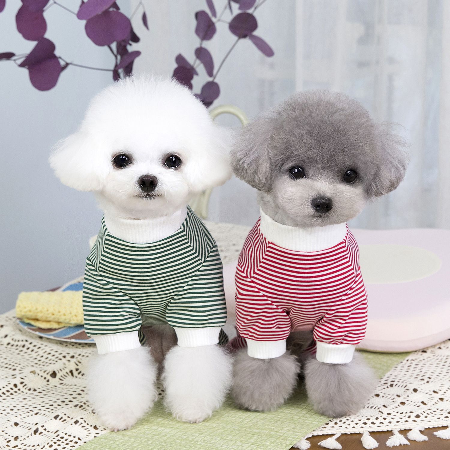 Pet clothes, Teddy dog clothes, pet clothing, cute and fashionable Korean version 25BOOK bear home wear pic 10