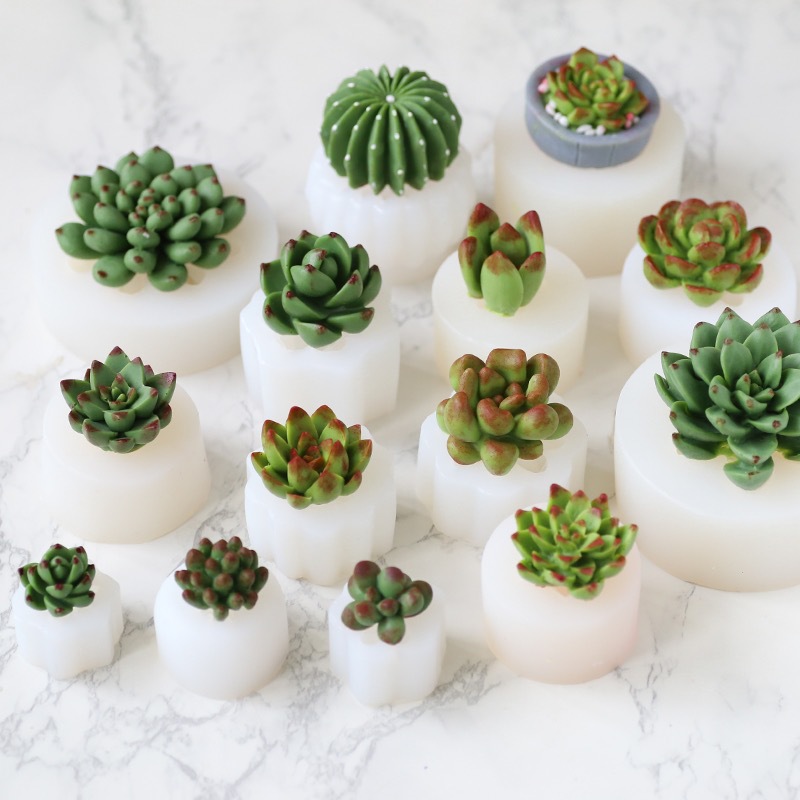 DIY succulent cactus plant silicone mold cake decoration aromatherapy plaster resin baking tools candles pic 2