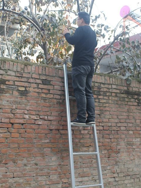Ladder, household straight ladder, portable single-sided ladder, iron pipe engineering ladder, Mimi staircase, thickened and thickened single-sided ladder pic 5