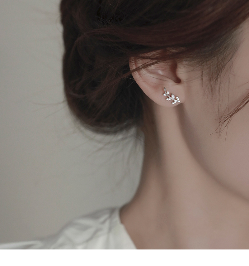 s925纯银树叶耳钉女夏季2023年新款潮小众设计简约小清新花朵耳饰详情5